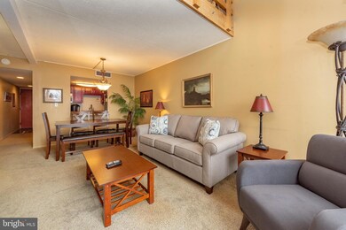 20160 Garrett Hwy unit G507, Oakland, MD 21550 - photo 6