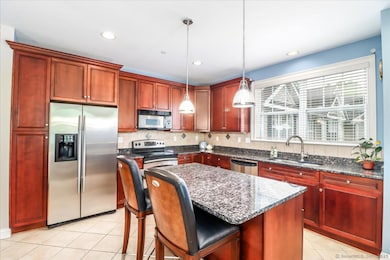 Stainless Steel appliances, roll out draws and disposal
