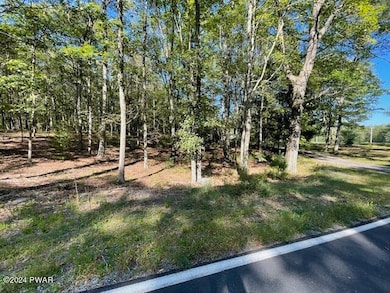 Lot 36 Mt Shadow Ln & Roosie Rd, Bushkill, PA 18324 - photo 4