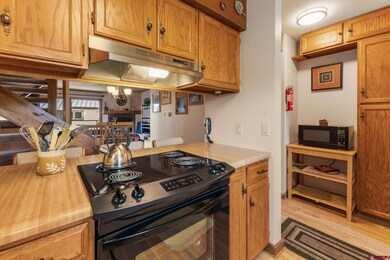 15 Marcellina Ln unit 120, Crested Butte, CO 81225 - photo 7
