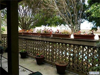 Living Room Patio