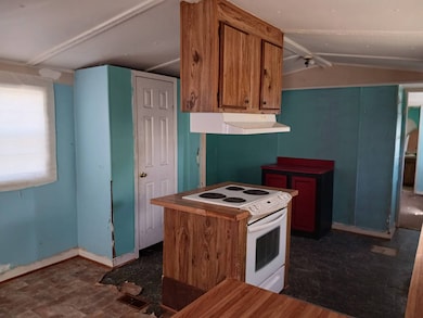 2085 Athena Rd, Lancaster, SC 29720 - photo 3