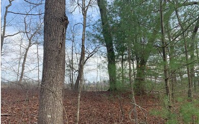 Additional View