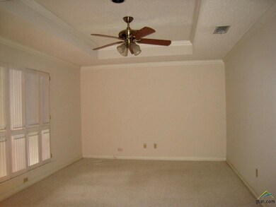 415 Princeton Dr, Tyler, TX 75703 - photo 2