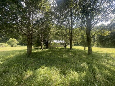 92 Field Dr, Linden, TN 37096 - photo 4