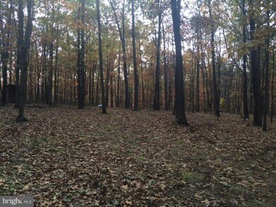 0 Green Oak Ln unit 1004116023, Berkeley Springs, WV 25411 - photo 5