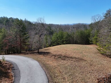 LT 13/14 S Williamstown Ridge, Mineral Bluff, GA 30559 - photo 5