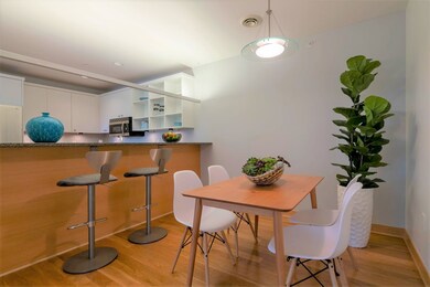 15 S Broom St unit 204, Madison, WI 53703 - photo 5