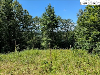 TBD Parkway Pointe Dr, West Jefferson, NC 28694 - photo 7