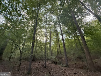 195 Bunch Rd, Tignall, GA 30668 - photo 7