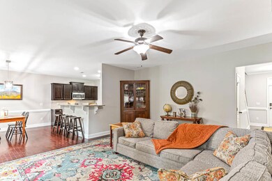 Living Room open to kitchen