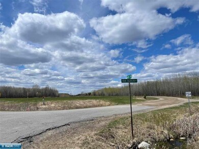 TBD Highway 29, Floodwood, MN 55736 - photo 4
