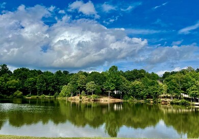 905 Tuscan View, Oxford, MS 38655 - photo 5