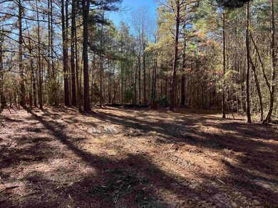 TBD County Road 2921, Hughes Springs, TX 75656 - photo 2