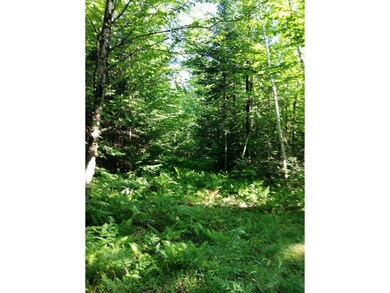 0 N Littleton Rd unit 4509995, Littleton, NH 03561 - photo 7