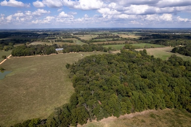 03 Carnell Rd, Rocky Comfort, MO 64861 - photo 4