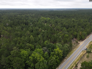 1409 Robinson Town Rd unit 6, Cassatt, SC 29032 - photo 4