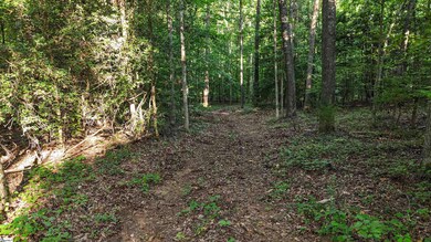 225 W Chapman Rd, Belton, SC 29627 - photo 5