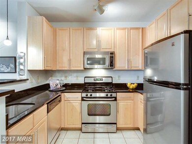 Silverton Condominiums, Silver Spring, MD 20910 - photo 5