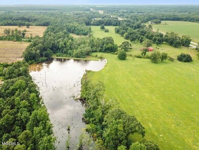 40.14 Ac Hwy 63, Lucedale, MS 39452 - photo 6