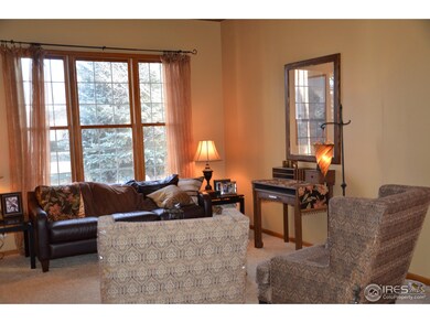 6847 Peppertree Dr, Niwot, CO 80503 - photo 6