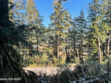 L9 B5 Beach Rd, Whale Pass, AK 99921 - photo 3