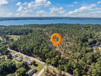 Lot 3 Pintail Dr, Flint, TX 75762 - photo 4