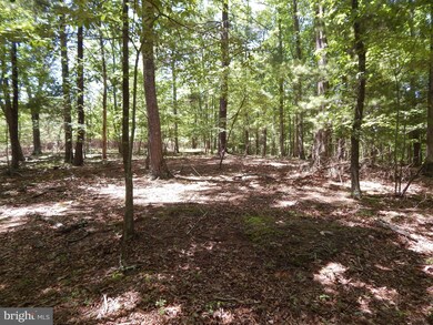 LOT 10 Farside Ln, Berkeley Springs, WV 25411 - photo 6