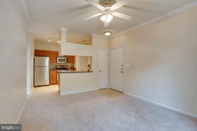 Bryson At Woodland Park unit 308, Herndon, VA 20171 - photo 5