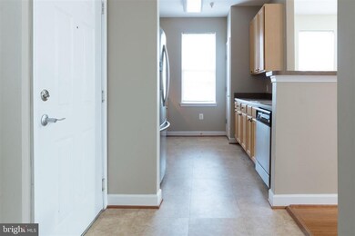 22655 Blue Elder Terrace unit 101, Ashburn, VA 20148 - photo 4