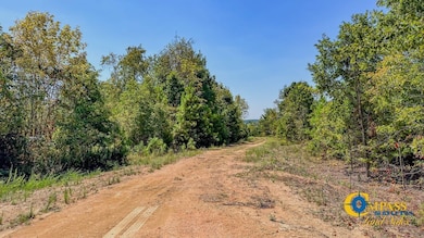 0 Hurricane Creek Rd, Stewart, TN 37175 - photo 6