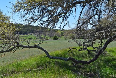 5028 Center Point Rd, Fredericksburg, TX 78624 - photo 6