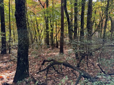 Great Building Site!