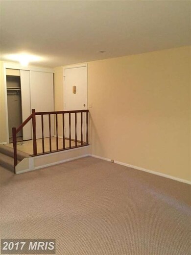 3809 El Camino Place, Alexandria, VA 22309 - photo 7