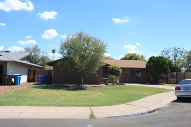 Front Yard