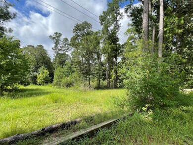 26475 Joseph Rd, Hockley, TX 77447 - photo 7