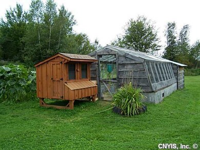 Backyard. New Chicken Coop with a green house with