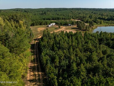 DJI_0359