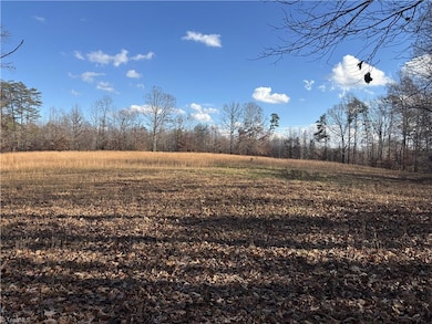 0 Bear Woods Trail, Mocksville, NC 27028 - photo 3