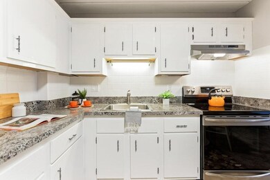 25 Homer Ave unit 11, Cambridge, MA 02138 - photo 7