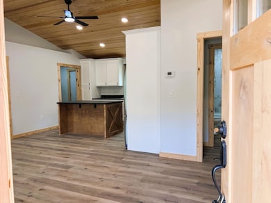 605 Frances Cove Rd, Mountain View, AR 72560 - photo 4