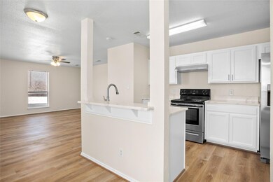 755 Olive Branch Rd, Brock, TX 76087 - photo 6