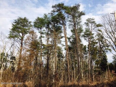 4 pines