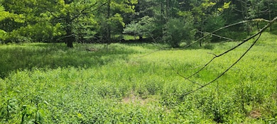 TBD Maple Run, Fairmont, WV 26554 - photo 6