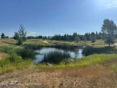 910 Dusty Maiden Ct, Driggs, ID 83422 - photo 5