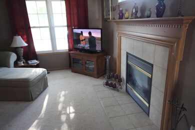 Gas log fireplace