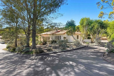 2206 Running Spring Place, Encinitas, CA 92024 - photo 6