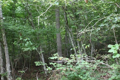 Lot 2 Lunsford Ln, Marshall, NC 28753 - photo 7