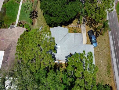 4002 W San Luis St, Tampa, FL 33629 - photo 7