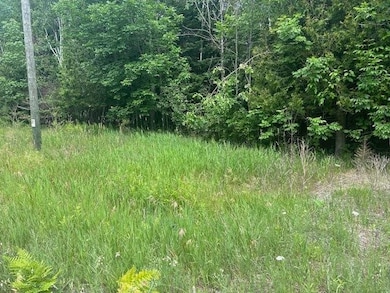 TBD Elder Rd, Carp Lake, MI 49718 - photo 5